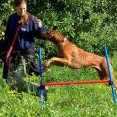 agility - Mellory