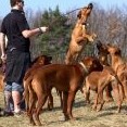 nejlepší disciplína je chytání buřta na klacku