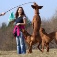 nejlepší disciplína je chytání buřta na klacku