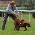 Saranga Sprint 2012 - Berllyn