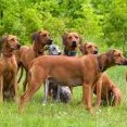 sobotní rozlučková byla ve složení :  Moon, Honey, Týnka , Maty, Čárluna a za Magmabonu vystřídala Konoušovou Melinka