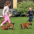 40. den a výlet za Edikem