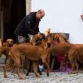 vyhlašování vítězů je velmi oblíbené - ceny jsou vždy k sežrání