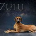 Zulu